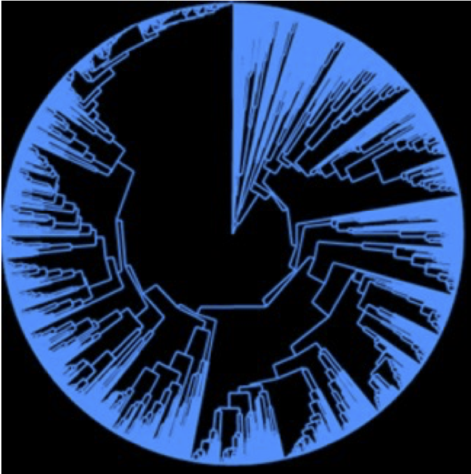 Spatial Phylogenetics Workshop