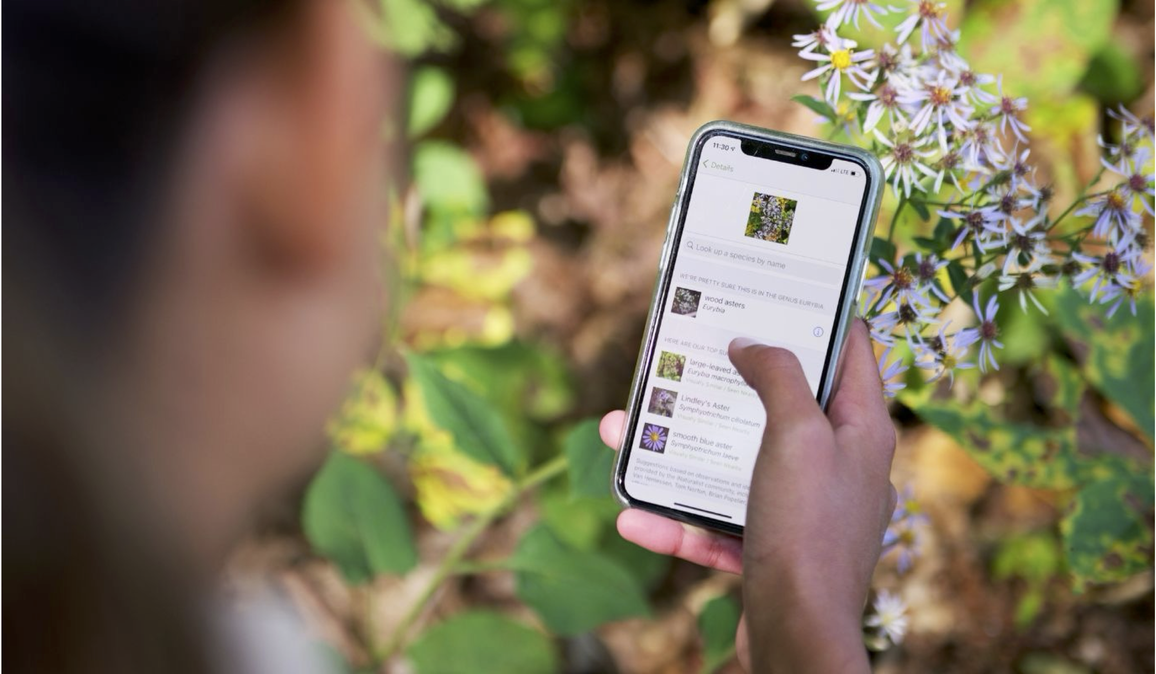 https://blog.ontarioparks.ca/inaturalist-at-ontario-parks/