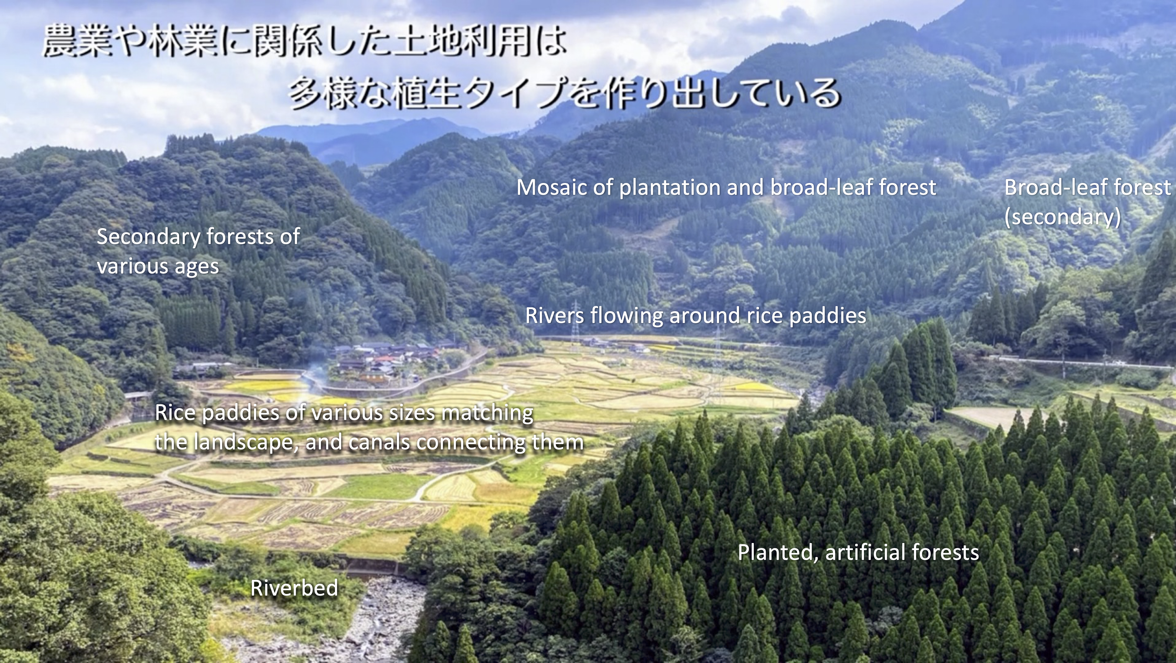 Satoyama with labels