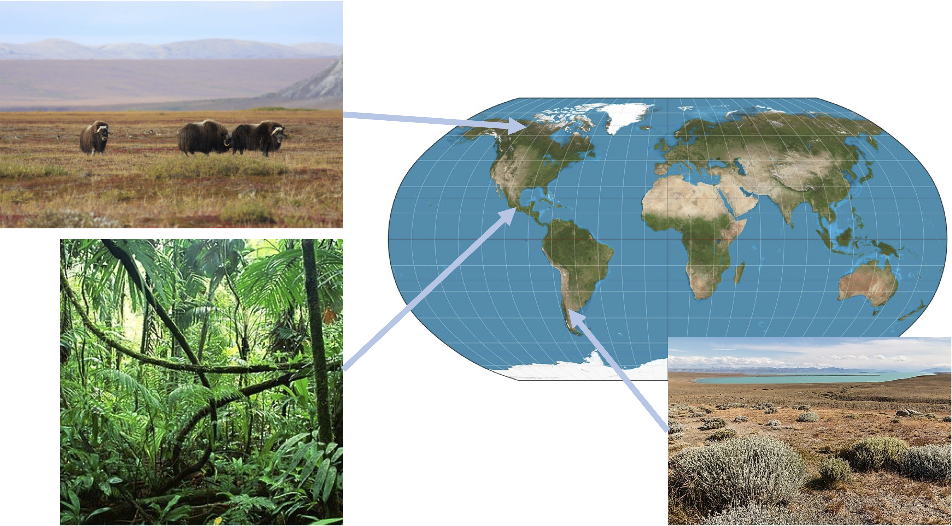 Images of tundra and rainforest, showing location on globe