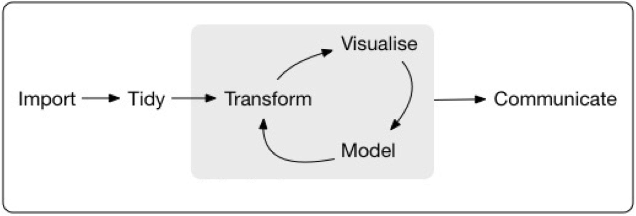 Hadley Wickham's data analysis workflow chart