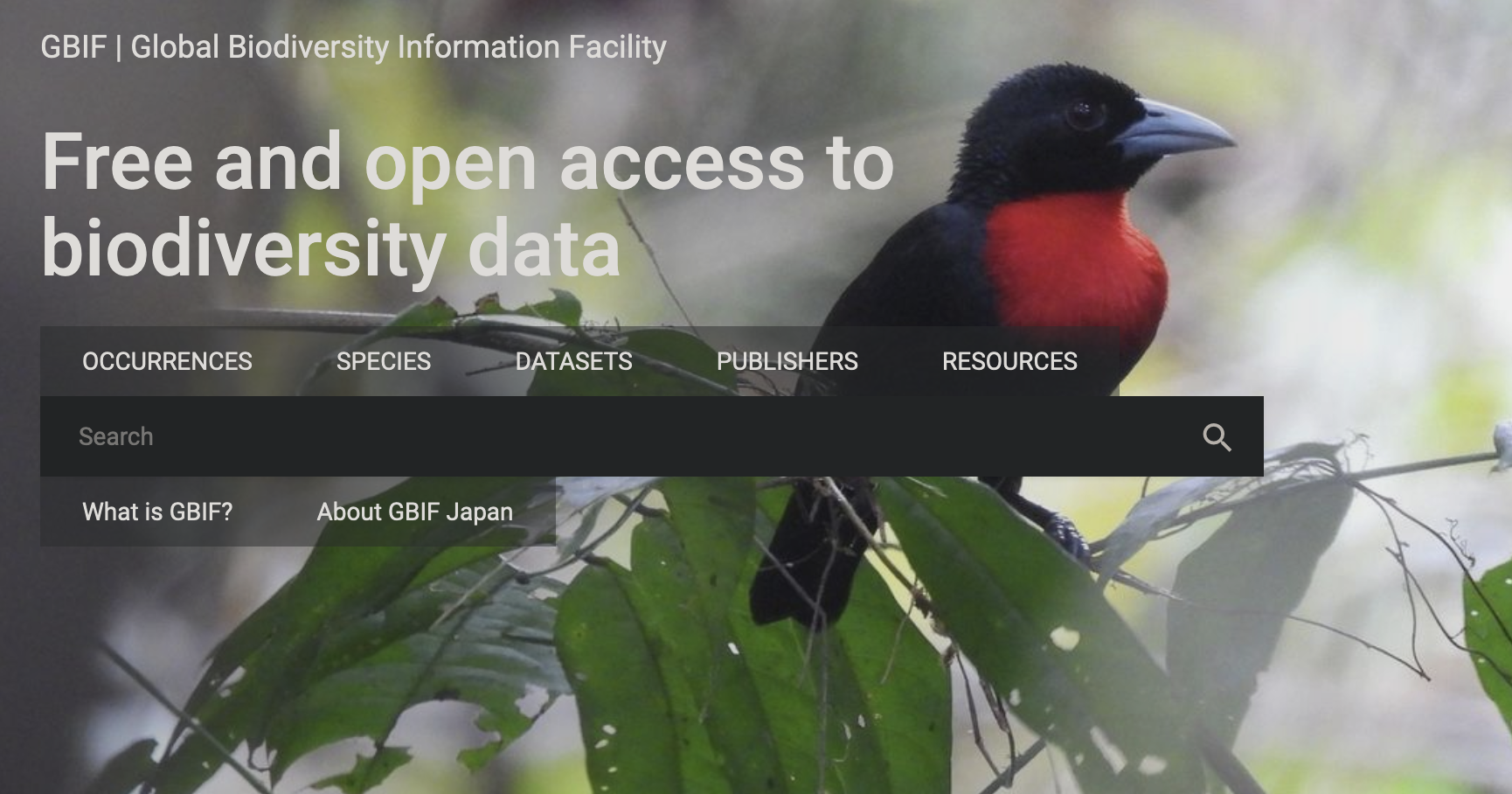 screenshot of GBIF entry page